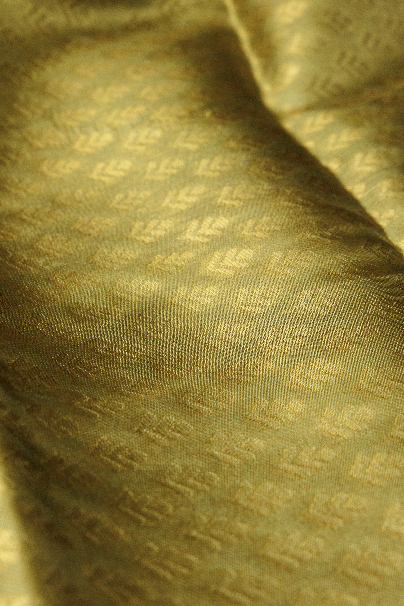 Vanashri - Olive Saree - Image 7