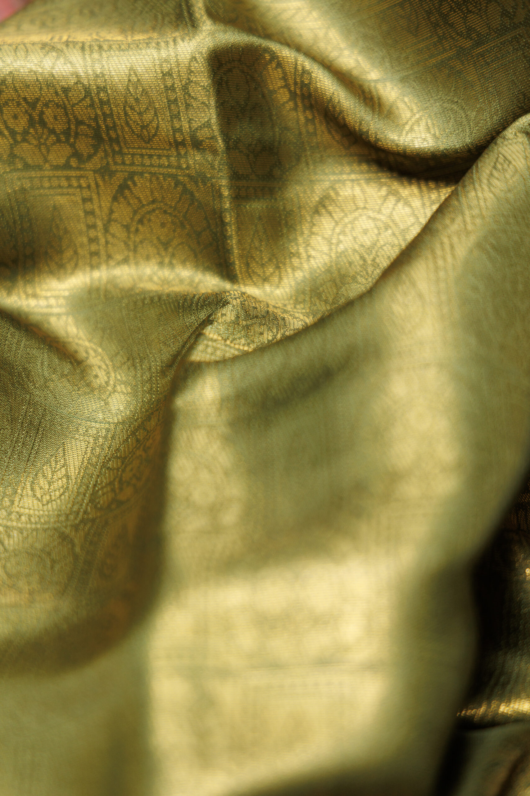 Vanashri - Olive Saree - Image 5