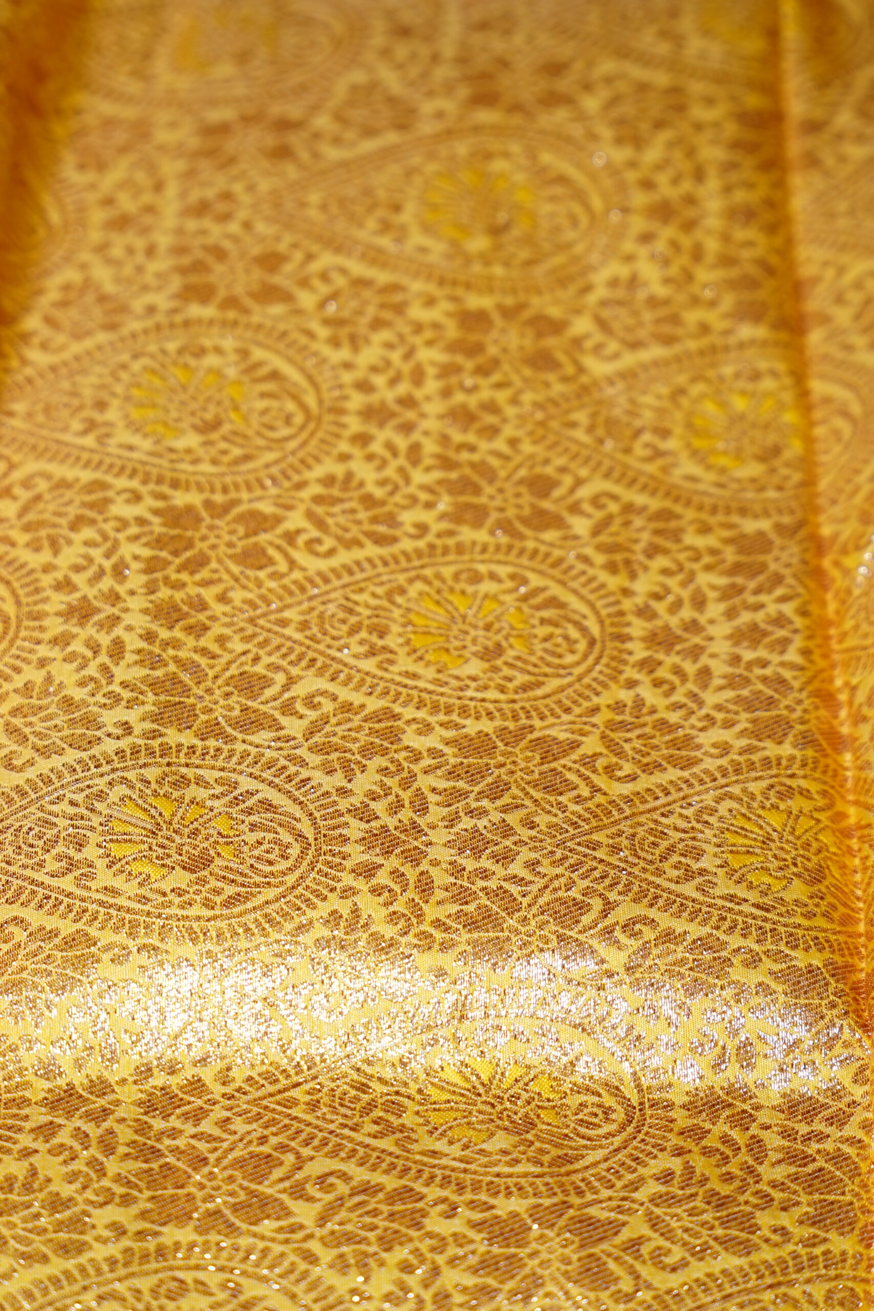 Anukriti – Pastel Bloom Saree - Image 8