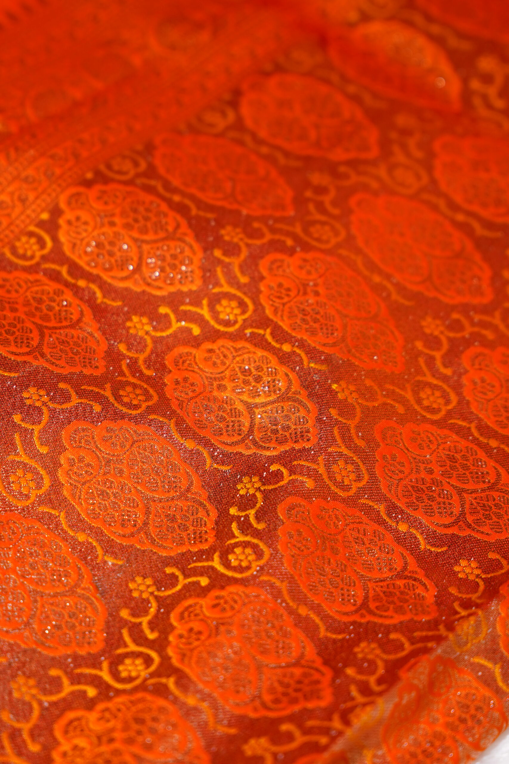 Madhavi – Regal Orange Saree - Image 4
