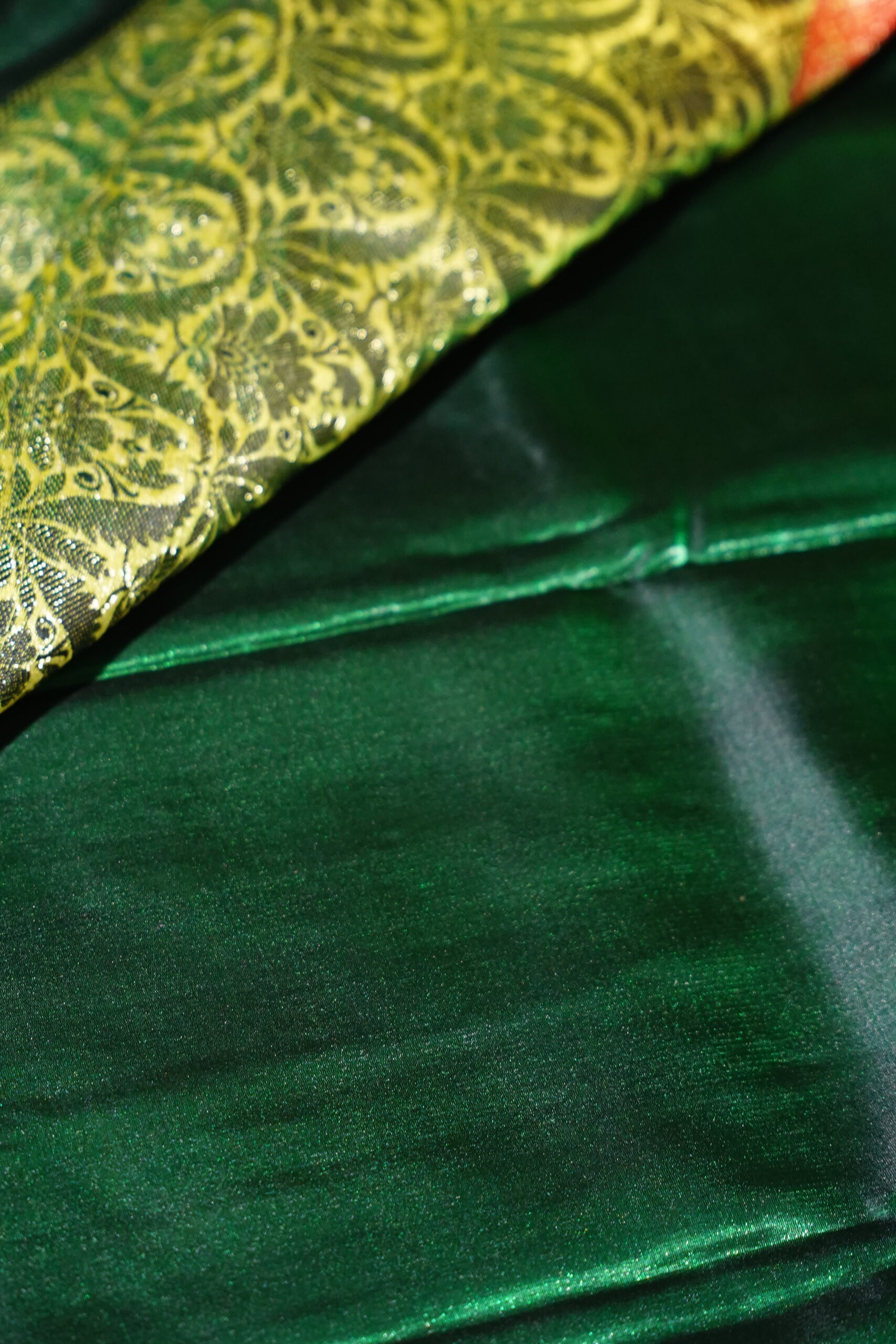 Devyani – Ruby Emerald Festive Saree - Image 5